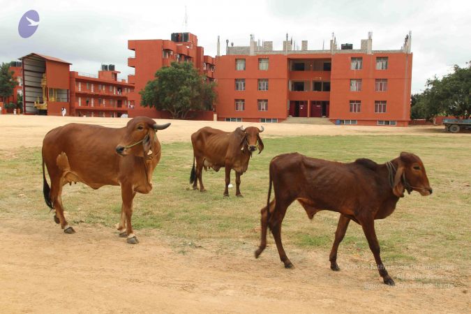 20140905 Photo 1164 1wMj3g8lyvTSJ05vvfTUlSPowGVwfLJqD.JPG