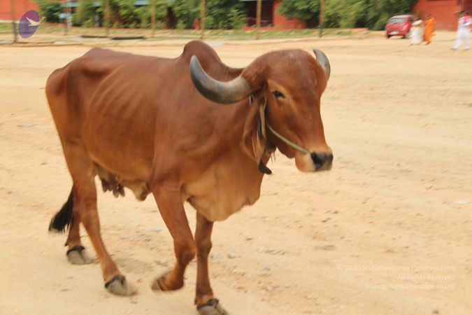 20140905 Photo 1167 1ymHrAr7Oc3xBB0W0i 8wtKIpMW1vc7Iv.JPG