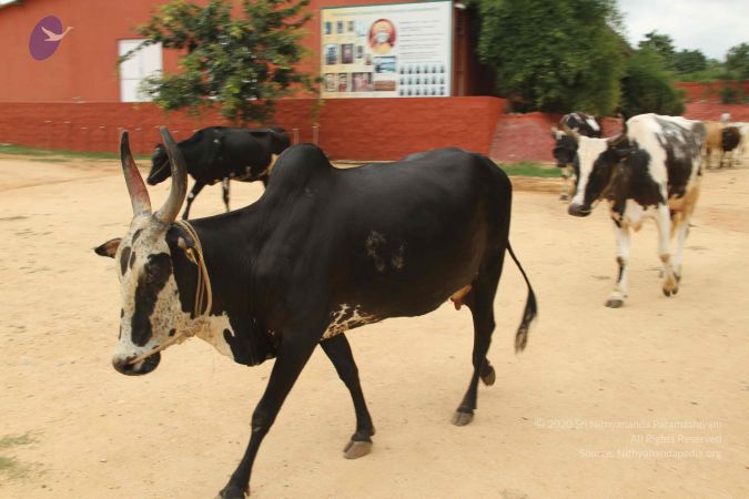 20140905 Photo 1168 1xvrLfepCylu0wBWsUS4zsnrpVwhbzAhL.JPG