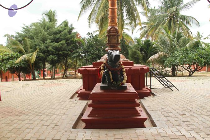 20140905 Photo 1171 1M hylWpYY4T1xKuKPhuHFE8aPNQFpEVR.JPG