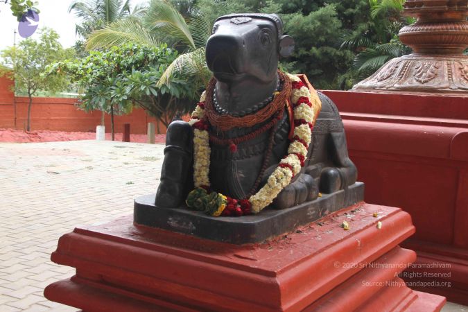 20140905 Photo 1173 1qTWBgo7RnZdEjzrCzab9HQXAPkByUhA6.JPG