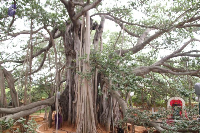 20140905 Photo 1176 1GIi36qqFTa-De88G6sSzeY6b0jFTLGO9.JPG