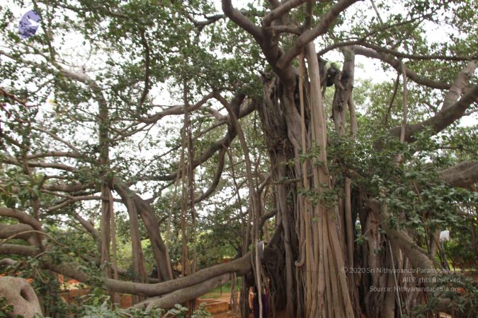 20140905 Photo 1178 19bJSEzpypMqNIbDqQ8ETsghedWken0NC.JPG