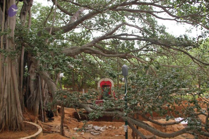 20140905 Photo 1179 1qDaArNTyZQgK4AFIODVe zK9zzm1jcKj.JPG