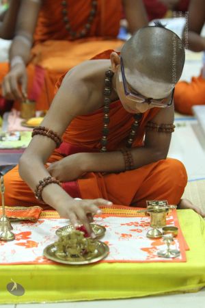 20140906 Photo 1001 16O4EnHtsCQL6Vn7D7iArQnQYil8tuQlc.JPG