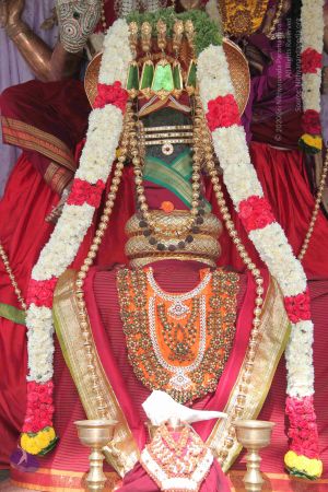 20140906 Photo 1014 1E4FftQyn yihM3MQeBCy1fleju18UiAl.JPG