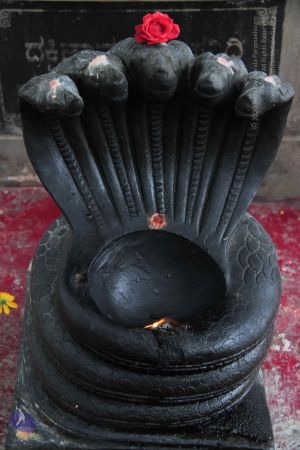 20140906 Photo 1018 13Z IBk9y6qtcBc0fD7JzkVOFDfuqCi8h.JPG