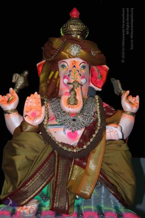 20140906 Photo 1025 1XOhl01e8VWO5iDlPn59Px0TkMNeYFLCo.JPG