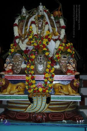 20140906 Photo 1027 1M7s0h5arTTrWuD6FTcPMKq91Kkmri-jC.JPG