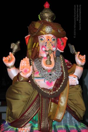 20140906 Photo 1032 1CJaCiaZzkjJn OFE-Zs1xjiEWff3KSk8.JPG