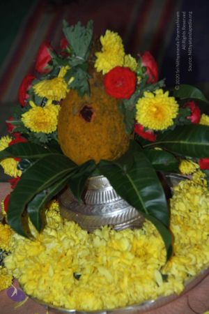 20140906 Photo 1042 1lHs3EMrDClQ77NfvBPrxRJrbaCJ7OCC7.JPG