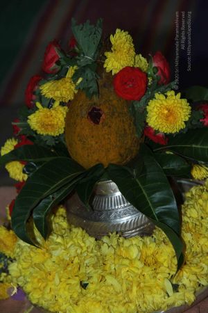 20140906 Photo 1043 1bGwzBvvDApzhclOQ4JrMyJhjQhEVs0F8.JPG