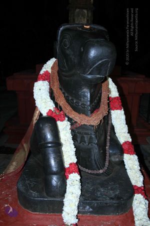 20140906 Photo 1044 1pVxMEubmyY70JJl9WRyvQpr-O2Iu2QUf.JPG