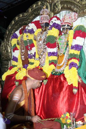 20140906 Photo 1051 112EBxzNOqv7fPFxpUJxr-Fzm5-BlWXPU.JPG