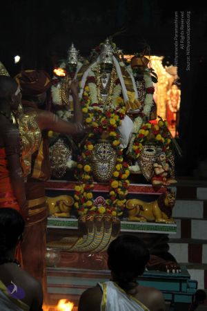 20140906 Photo 1086 16ETtugoEGbRQL-lNrSei4hoWg70sW0Va.JPG