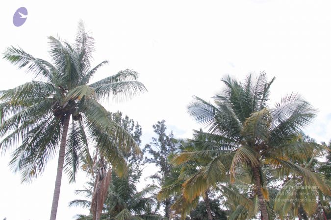 20140906 Photo 1103 19OEM4YlUTY5Tdjm7J93dZIu21WbqHntM.JPG