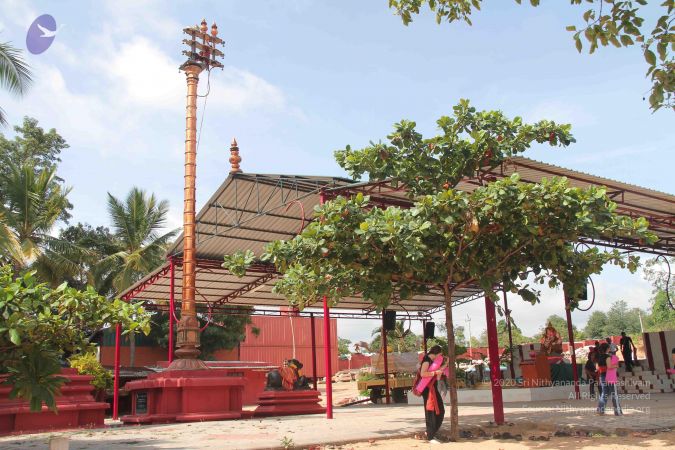 20140906 Photo 1149 1FmSqLL099JiZsF8EhvvsjkuGfx4gCqDp.JPG