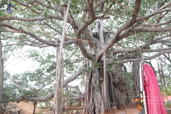 20140906 Photo 1184 1JG 3KnwjCNDJqztq 7UX4KeJKBD4IilM.JPG