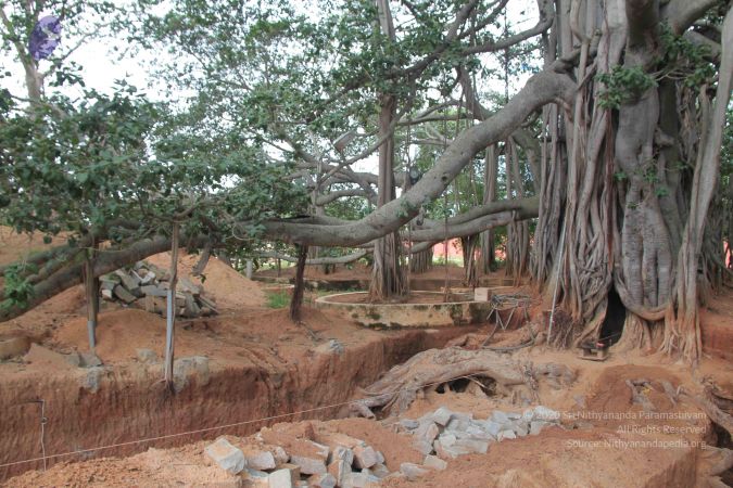 20140906 Photo 1186 1oepqEYu5TsZz4Rk3ccKpeJDl-m6aeAI-.JPG