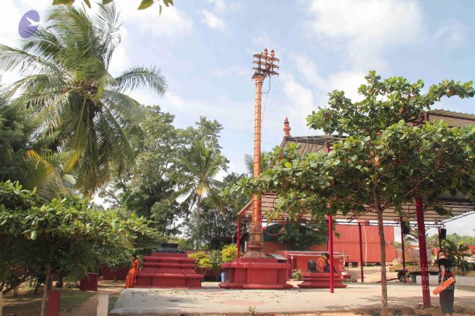 20140906 Photo 1191 1aHvITedL3xKPAl2w2E4vmNtt f7Hh-YG.JPG