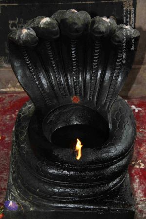 20140907 Photo 1029 1yalYxvI1dmHlqyxV56p1Y4queJ6-lU4r.JPG