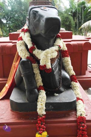 20140907 Photo 1032 1X gAB-Oj6tegLRzrY98 hxvJJVPMmqz8.JPG