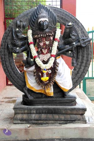 20140907 Photo 1037 1MoywPbsHTX- SLArY0FdFsMW0ThaHOub.JPG