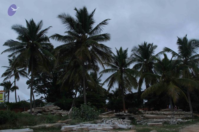 20140907 Photo 1038 1fMrNiKmNwlJTp 1l CBAs-IQNs-9fCTh.JPG