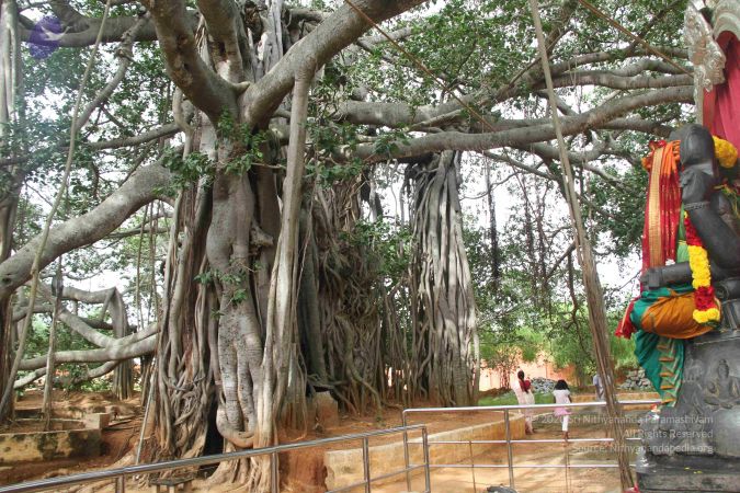 20140907 Photo 1081 1Kkd7kWBxn31264DZoj4lqvJJgtU MWes.JPG