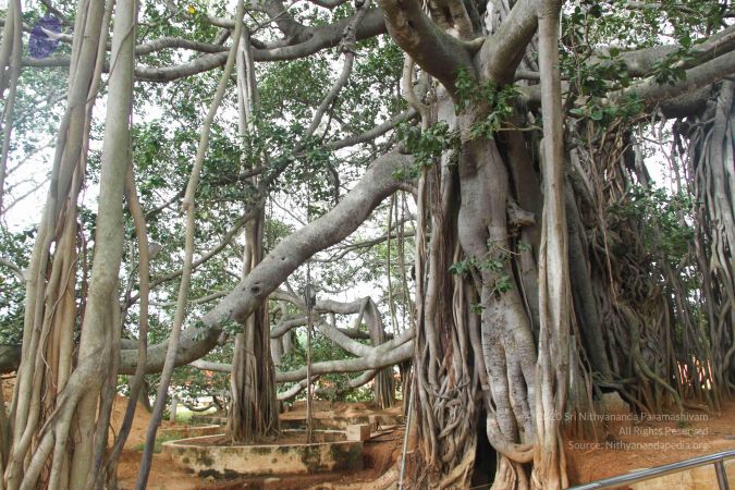 20140907 Photo 1082 1aq58gMzF5-xrv3AddYFzvetRasz3tbHq.JPG