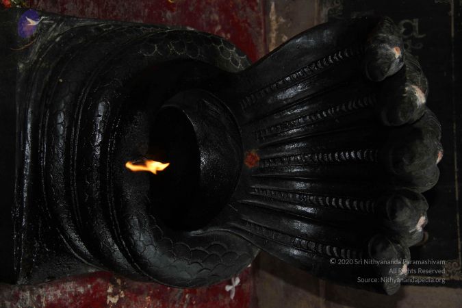 20140907 Photo 1089 18YH07ygNGj8-3foRM7vGbDNcgu7HjLKH.JPG