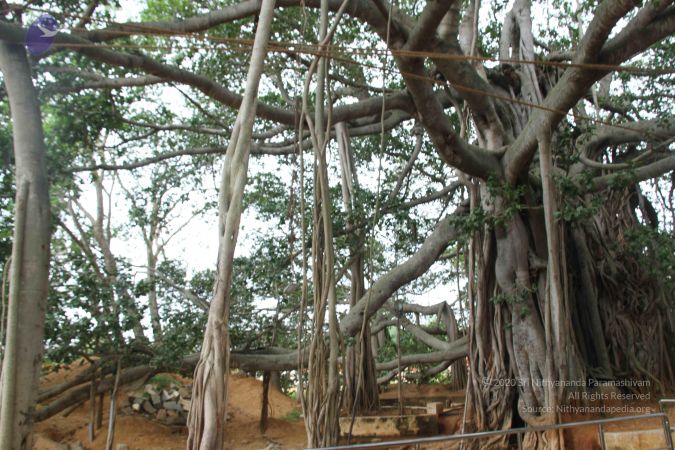 20140907 Photo 1090 1aKt f7AfyU5GOeeKeKr2vD PDd4Y5ICq.JPG