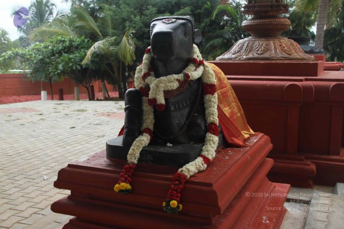 20140907 Photo 1102 1g9HrTBceGBZ8ERAzDU9h8HxcsgM6ulq0.JPG