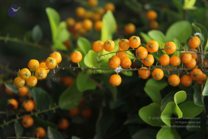 20140907 Photo 1105 1jRlm 3t3c3npkOGkyA76Tsmgz-7PPk9J.JPG