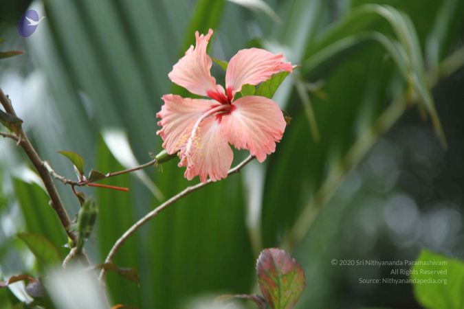 20140907 Photo 1106 1fNnlSRbHI sxvwZSzK-TAEMf6fBGez 6.JPG