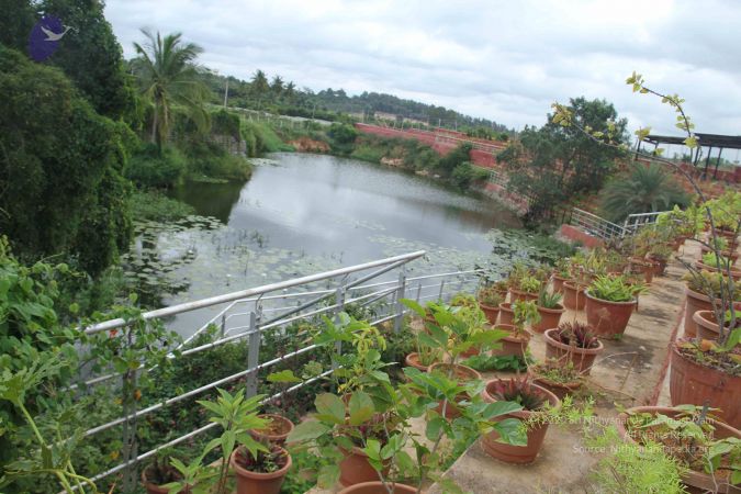 20140907 Photo 1129 1xzzOK0HPURySou3sF3tu m 1moQX1mSb.JPG