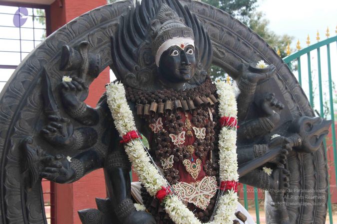 20140907 Photo 1138 1Yj7vWK bZSuQIrHzishxZYY7bQHK-6Ez.JPG