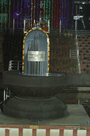 20140908 Photo 1016 1rpubXawefUvOQTXtoNqN-fyHEU1L-twS.JPG