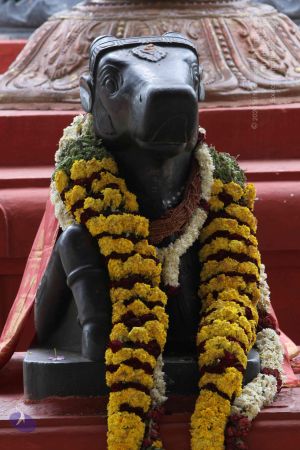 20140910 Photo 1001 1B4bdlkIN1zt2O-PZ4-2P6Gz7Iz-13ibF.JPG