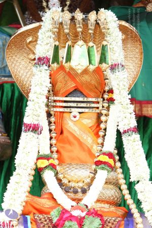 20140910 Photo 1018 1mdc0-HfAIV76GzwJ8HVUA-OSw69FhTWM.JPG