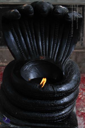 20140910 Photo 1031 1zo48VqYih5 oojioZZO5vy3s-vO6gb0o.JPG