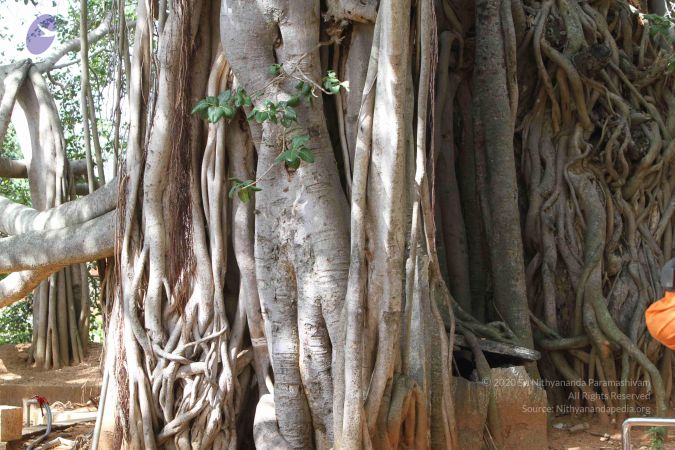 20140910 Photo 1042 128v7R6eaTyxF7Y3TeDz7QL-wjo3AHOnp.JPG