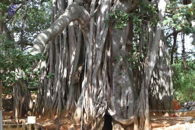 20140910 Photo 1045 1gDRt-lYpRsxtCFrFdc2oDCU qf80lb2q.JPG