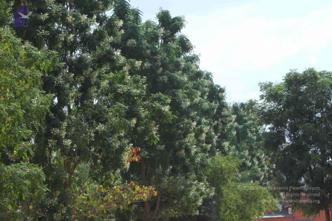 20140910 Photo 1058 1 It7ZkApKkAcykN6-biKvVXCjO myVJm.JPG