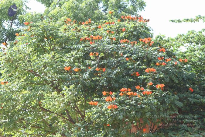 20140910 Photo 1061 1zhwmUybGNWYTAUup-0U9GWDZcHArPe91.JPG