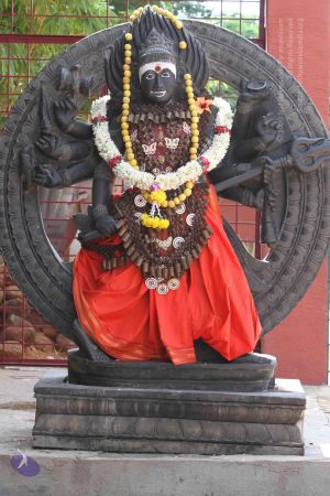 20140910 Photo 1145 1KNEs4zi21wKlFR6O7 LLsEbnoGgi 1bF.JPG