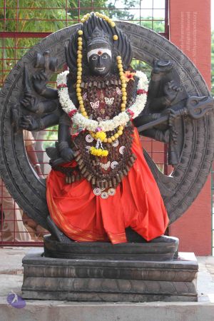 20140910 Photo 1146 1ZzbNONGw1jFTGg6GOPxyHq2c7wRspzSy.JPG