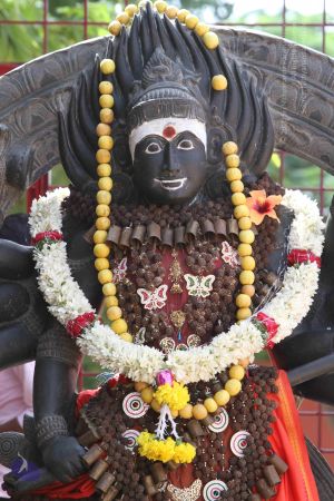 20140910 Photo 1150 12ndJNCSI7S5DY2sC8qko5XpZCRuKhodW.JPG