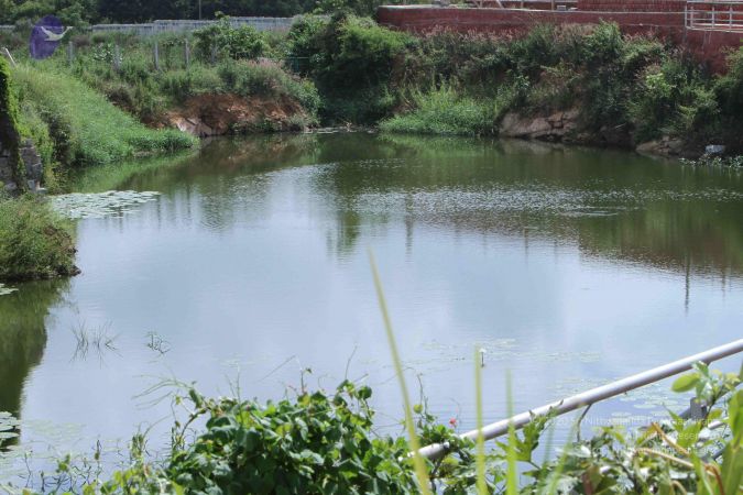 20140910 Photo 1155 1TR2P5KY6RbSkQVKGPA25Fr0cF3Bu6fQ3.JPG