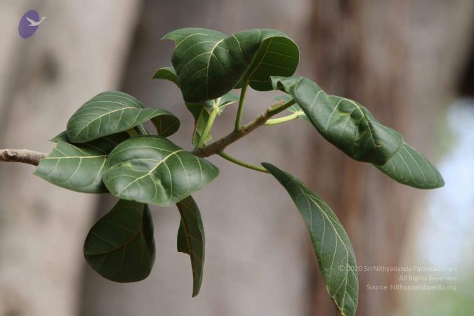 20140911 Photo 1024 1fLlJVnayZxPojQXHwOP4Az3pRty4vhyc.JPG